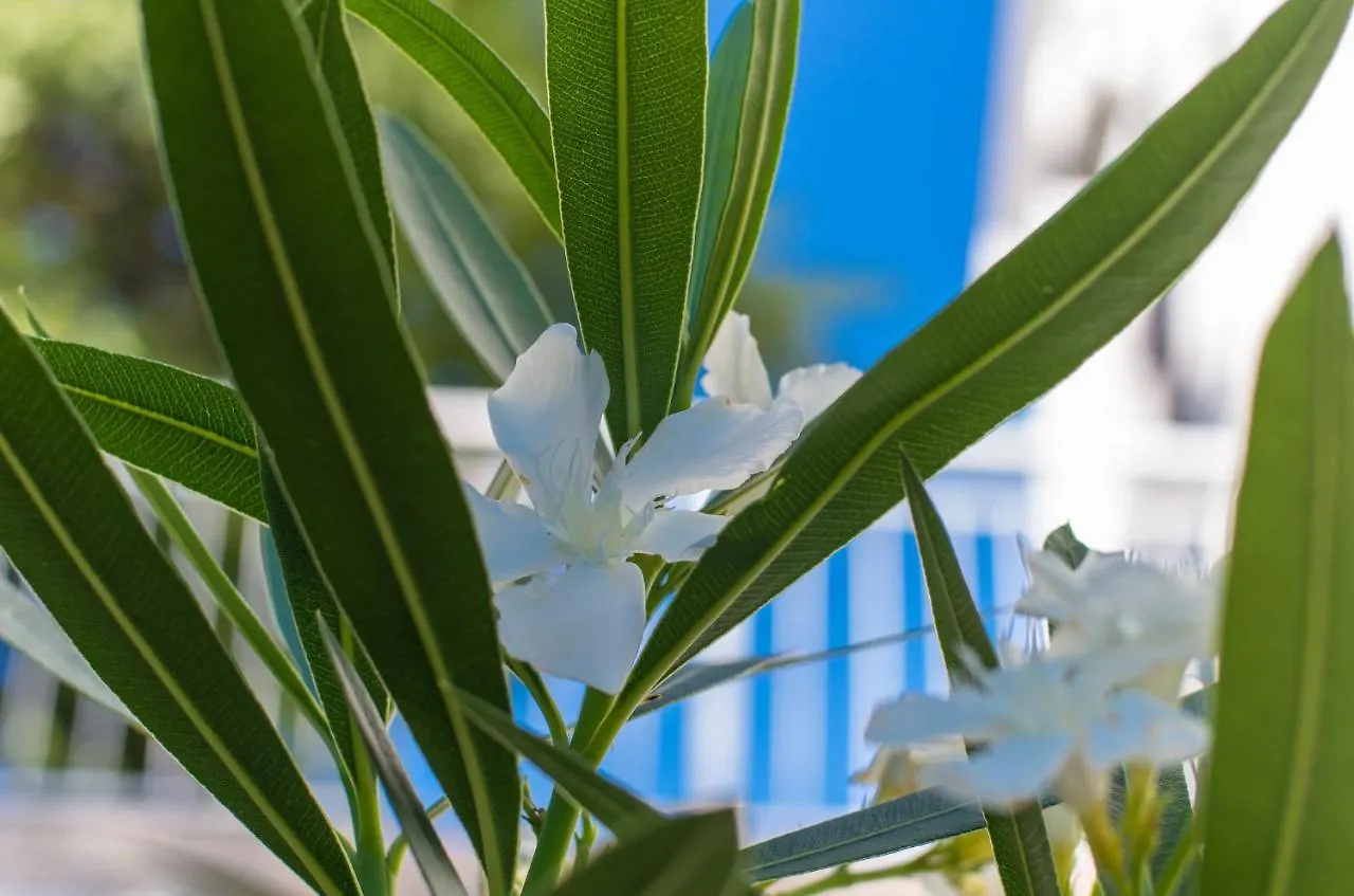 Amila Apartment Crikvenica
